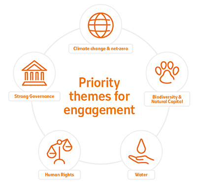 Priority themes for engagement