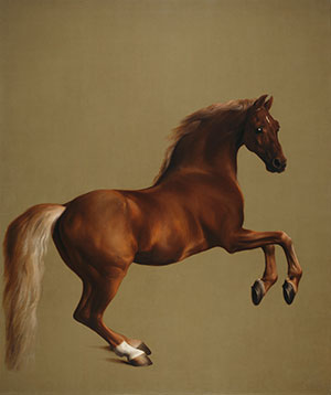 (Photo: George Stubbs, Whistlejacket, c.1762. National Gallery, London)